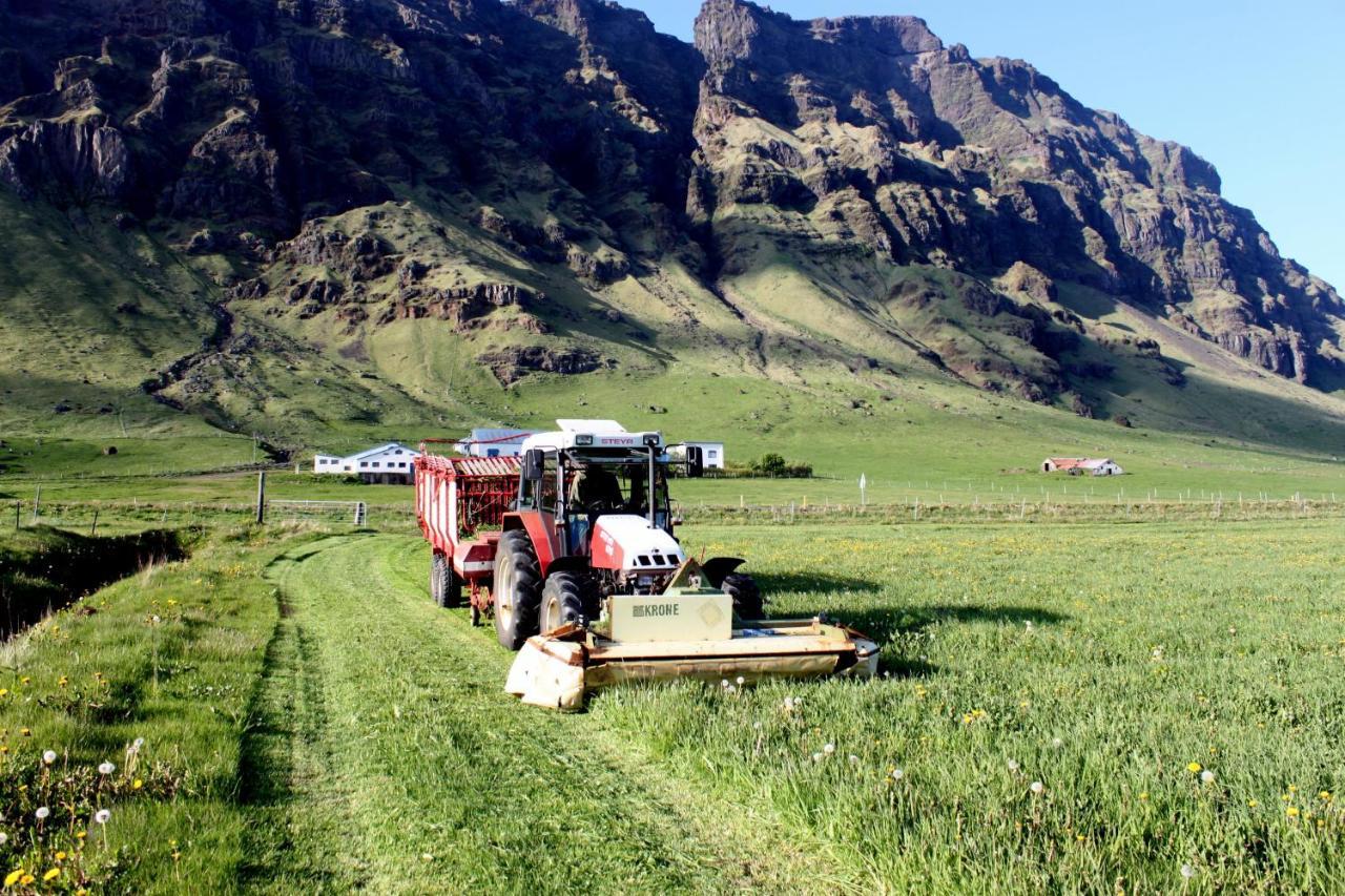 South Iceland Guesthouse Steinar Экстерьер фото